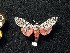 ( - BCSC402)  @13 [ ] Unspecified (default): All Rights Reserved  Unspecified Unspecified