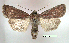  ( - UASM111954)  @14 [ ] Unspecified (default): All Rights Reserved  Unspecified Unspecified