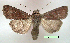  ( - UASM111963)  @14 [ ] Unspecified (default): All Rights Reserved  Unspecified Unspecified