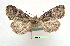  ( - UASM125964)  @12 [ ] Unspecified (default): All Rights Reserved  Unspecified Unspecified