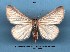  ( - UASM19703)  @13 [ ] Unspecified (default): All Rights Reserved  Unspecified Unspecified