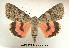  ( - UASM19740)  @14 [ ] Unspecified (default): All Rights Reserved  Unspecified Unspecified