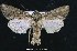  ( - UASM19841)  @14 [ ] Unspecified (default): All Rights Reserved  Unspecified Unspecified