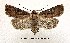  ( - UASM57249)  @14 [ ] Unspecified (default): All Rights Reserved  Unspecified Unspecified