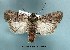  ( - UASM58758)  @14 [ ] Unspecified (default): All Rights Reserved  Unspecified Unspecified