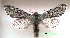  ( - UASM59147)  @13 [ ] Unspecified (default): All Rights Reserved  Unspecified Unspecified