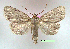  ( - UASM59215)  @14 [ ] Unspecified (default): All Rights Reserved  Unspecified Unspecified