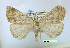  ( - UASM7089)  @13 [ ] Unspecified (default): All Rights Reserved  Unspecified Unspecified
