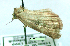  ( - UASM7142)  @12 [ ] Unspecified (default): All Rights Reserved  Unspecified Unspecified