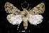  ( - UASM77794)  @14 [ ] Unspecified (default): All Rights Reserved  Unspecified Unspecified