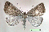  ( - UASM99701)  @14 [ ] Unspecified (default): All Rights Reserved  Unspecified Unspecified