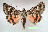  ( - UASM99702)  @15 [ ] Unspecified (default): All Rights Reserved  Unspecified Unspecified