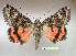 ( - UASM99704)  @14 [ ] Unspecified (default): All Rights Reserved  Unspecified Unspecified