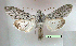  ( - UASM99705)  @14 [ ] Unspecified (default): All Rights Reserved  Unspecified Unspecified