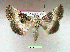  ( - UASM99710)  @14 [ ] Unspecified (default): All Rights Reserved  Unspecified Unspecified