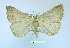  ( - UASM99713)  @13 [ ] Unspecified (default): All Rights Reserved  Unspecified Unspecified