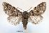  ( - UASN19649)  @14 [ ] Unspecified (default): All Rights Reserved  Unspecified Unspecified