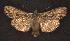  ( - CNCNoctuoidea6318)  @13 [ ] Unspecified (default): All Rights Reserved  Unspecified Unspecified