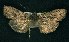  ( - CNCNoctuoidea6340)  @13 [ ] Unspecified (default): All Rights Reserved  Unspecified Unspecified