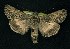  ( - CNCNoctuoidea6352)  @14 [ ] Unspecified (default): All Rights Reserved  Unspecified Unspecified