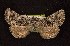  ( - CNCNoctuoidea6360)  @12 [ ] Unspecified (default): All Rights Reserved  Unspecified Unspecified