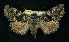  ( - CNCNoctuoidea6362)  @13 [ ] Unspecified (default): All Rights Reserved  Unspecified Unspecified