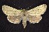  ( - CNCNoctuoidea6387)  @13 [ ] Unspecified (default): All Rights Reserved  Unspecified Unspecified