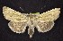  ( - CNCNoctuoidea6392)  @14 [ ] Unspecified (default): All Rights Reserved  Unspecified Unspecified