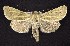  ( - CNCNoctuoidea6394)  @14 [ ] Unspecified (default): All Rights Reserved  Unspecified Unspecified
