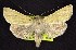  ( - CNCNoctuoidea6395)  @13 [ ] Unspecified (default): All Rights Reserved  Unspecified Unspecified