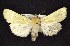  ( - CNCNoctuoidea6412)  @12 [ ] Unspecified (default): All Rights Reserved  Unspecified Unspecified