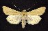  ( - CNCNoctuoidea6414)  @13 [ ] Unspecified (default): All Rights Reserved  Unspecified Unspecified