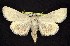  ( - CNCNoctuoidea6422)  @13 [ ] Unspecified (default): All Rights Reserved  Unspecified Unspecified