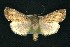  ( - CNCNoctuoidea6462)  @13 [ ] Unspecified (default): All Rights Reserved  Unspecified Unspecified