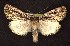  ( - CNCNoctuoidea6658)  @13 [ ] Unspecified (default): All Rights Reserved  Unspecified Unspecified