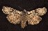  ( - CNCNoctuoidea6671)  @12 [ ] Unspecified (default): All Rights Reserved  Unspecified Unspecified