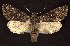  ( - CNCNoctuoidea6679)  @14 [ ] Unspecified (default): All Rights Reserved  Unspecified Unspecified