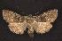  ( - CNCNoctuoidea6741)  @14 [ ] Unspecified (default): All Rights Reserved  Unspecified Unspecified