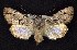  ( - CNCNoctuoidea6766)  @14 [ ] Unspecified (default): All Rights Reserved  Unspecified Unspecified