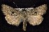  ( - CNCNoctuoidea6774)  @14 [ ] Unspecified (default): All Rights Reserved  Unspecified Unspecified
