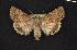  ( - CNCNoctuoidea6792)  @14 [ ] Unspecified (default): All Rights Reserved  Unspecified Unspecified