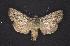  ( - CNCNoctuoidea7420)  @14 [ ] Unspecified (default): All Rights Reserved  Unspecified Unspecified