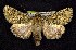  ( - CNCNoctuoidea7439)  @14 [ ] Unspecified (default): All Rights Reserved  Unspecified Unspecified