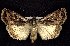  ( - CNCNoctuoidea7544)  @14 [ ] Unspecified (default): All Rights Reserved  Unspecified Unspecified