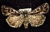  ( - CNCNoctuoidea7545)  @14 [ ] Unspecified (default): All Rights Reserved  Unspecified Unspecified