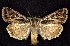  ( - CNCNoctuoidea7549)  @14 [ ] Unspecified (default): All Rights Reserved  Unspecified Unspecified