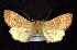  ( - CNCNoctuoidea7589)  @13 [ ] Unspecified (default): All Rights Reserved  Unspecified Unspecified