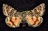  ( - CNCNoctuoidea7595)  @14 [ ] Unspecified (default): All Rights Reserved  Unspecified Unspecified