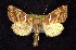  ( - CNCNoctuoidea7668)  @13 [ ] Unspecified (default): All Rights Reserved  Unspecified Unspecified