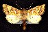  ( - CNCNoctuoidea7673)  @12 [ ] Unspecified (default): All Rights Reserved  Unspecified Unspecified